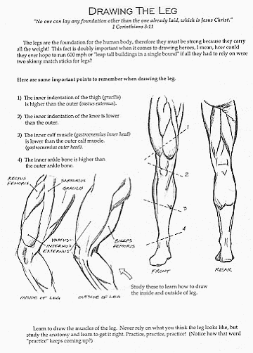 "Learn to draw the muscles of the leg. Never rely on what you think the leg 